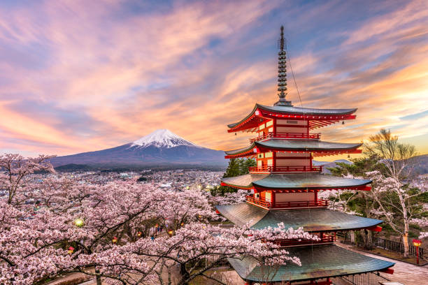 Japón Inédito, modernidad y tradiciones en el país del sol naciente. 