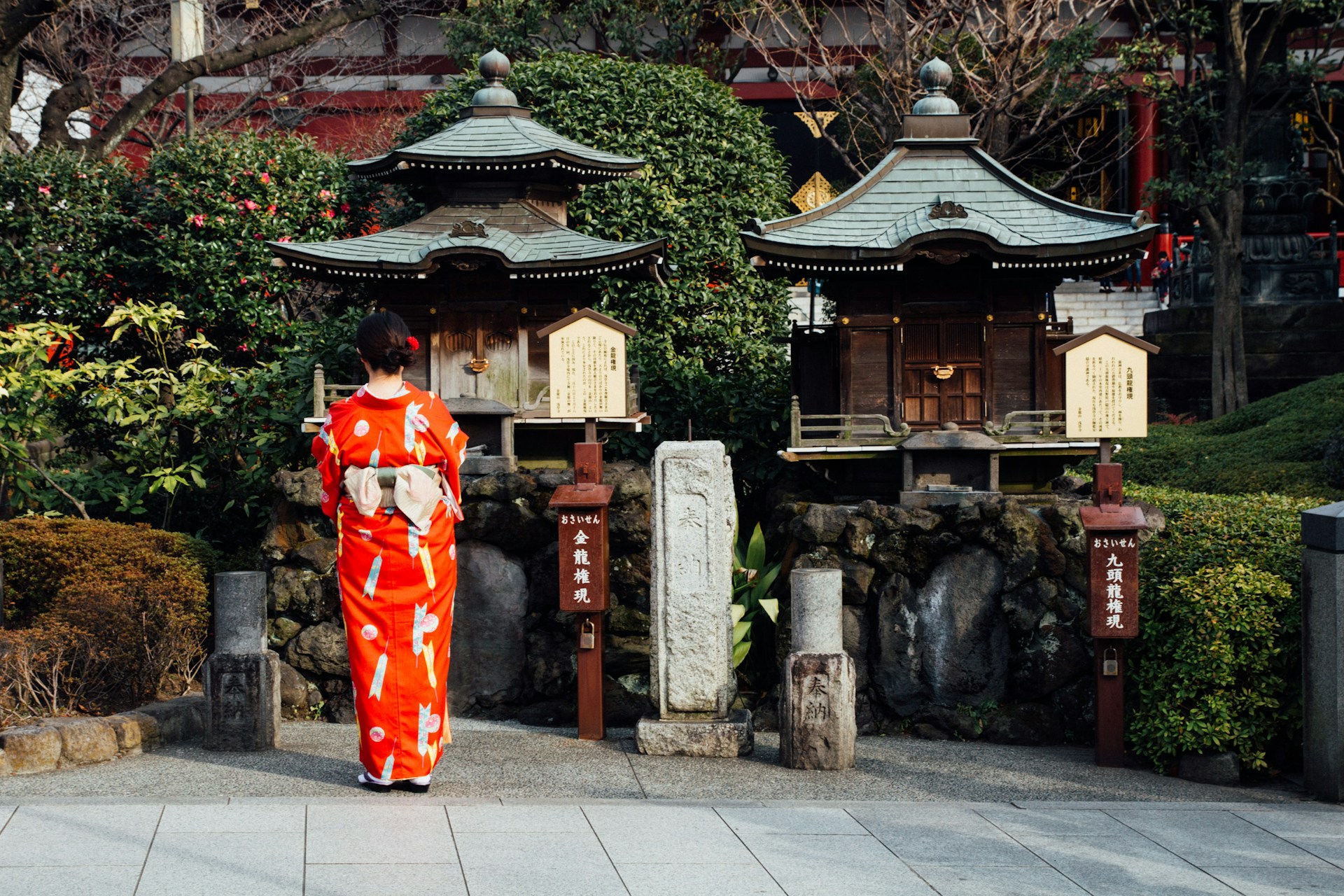 Japón espectacular, salida especial 5 Noviembre (viaje en grupo reducido)