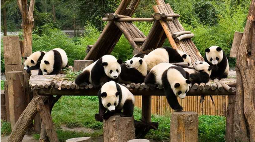 China Pangu (viaje en grupo)