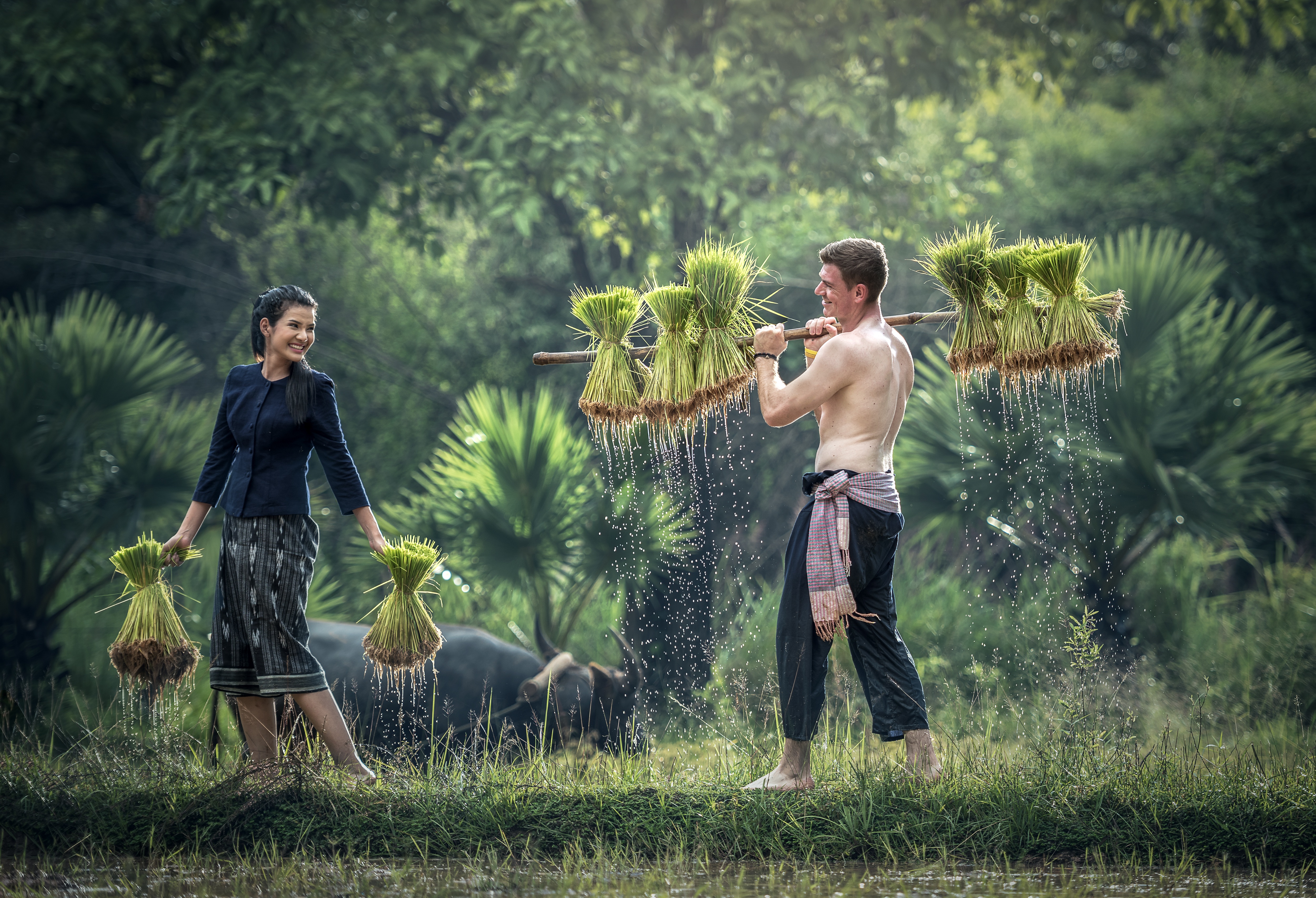 Luna de miel en Vietnam