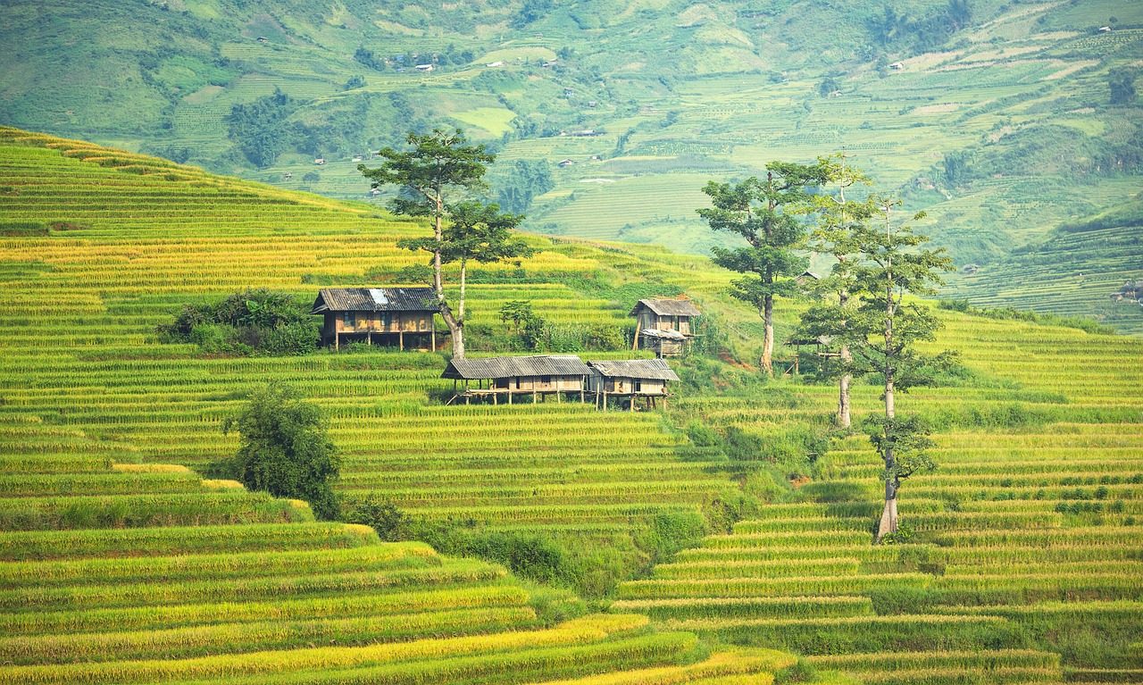 Gran Tour de Vietnam y Camboya con playas en Con Dao